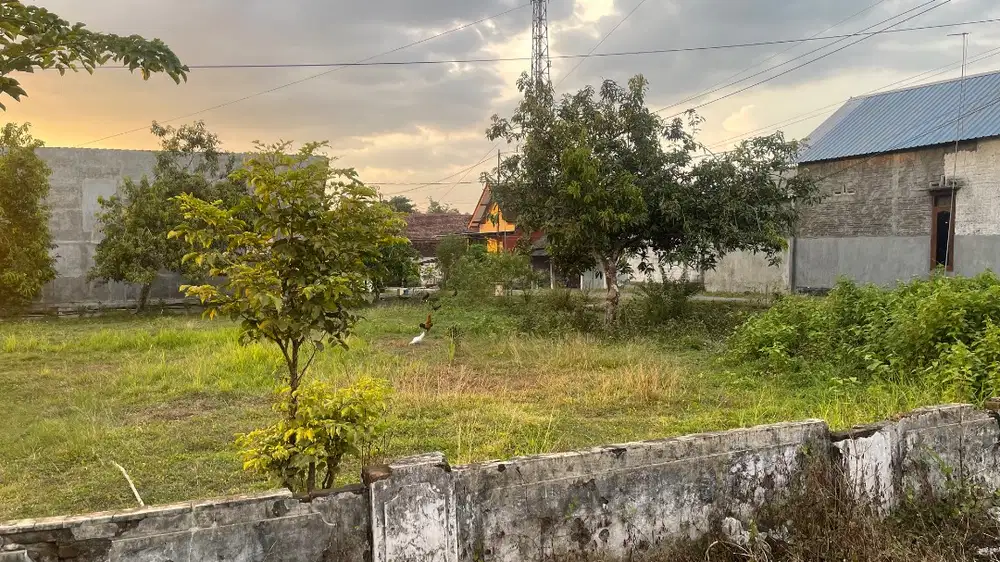 Tanah Dijual Tanpa Perantara SHM