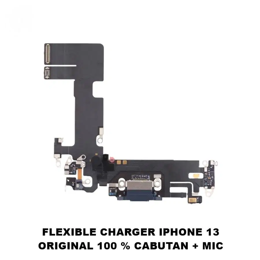 Flex Charger iPhone 13