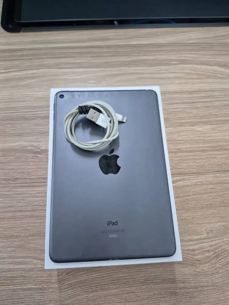 iPad Mini 5 64gb - iBox