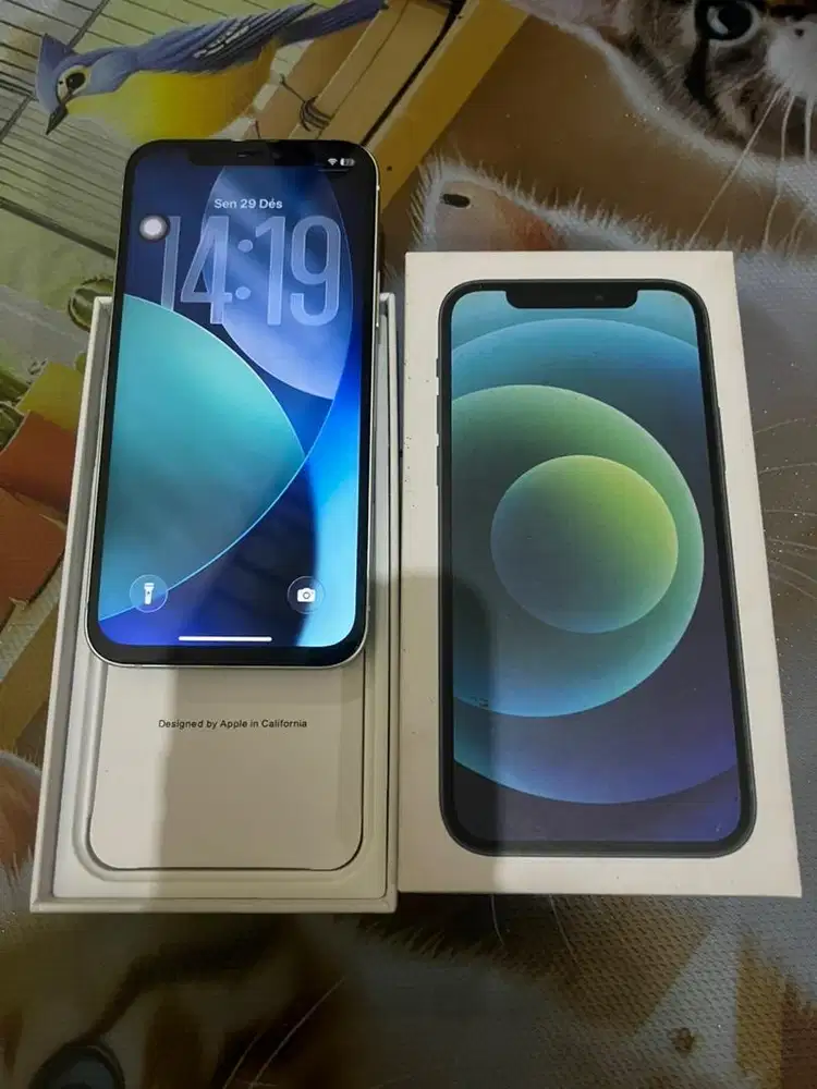 Iphone 12 64Gb Inter