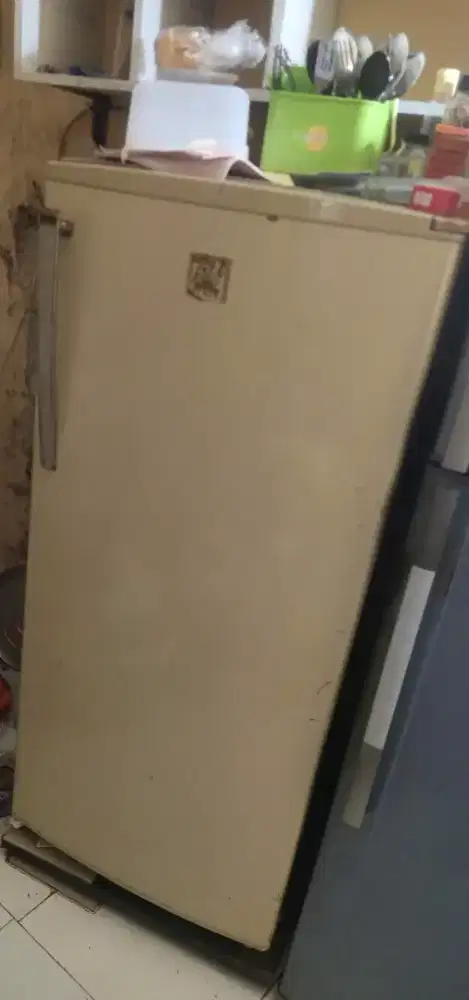 Kulkas normal Edisi pindahan dingiinn