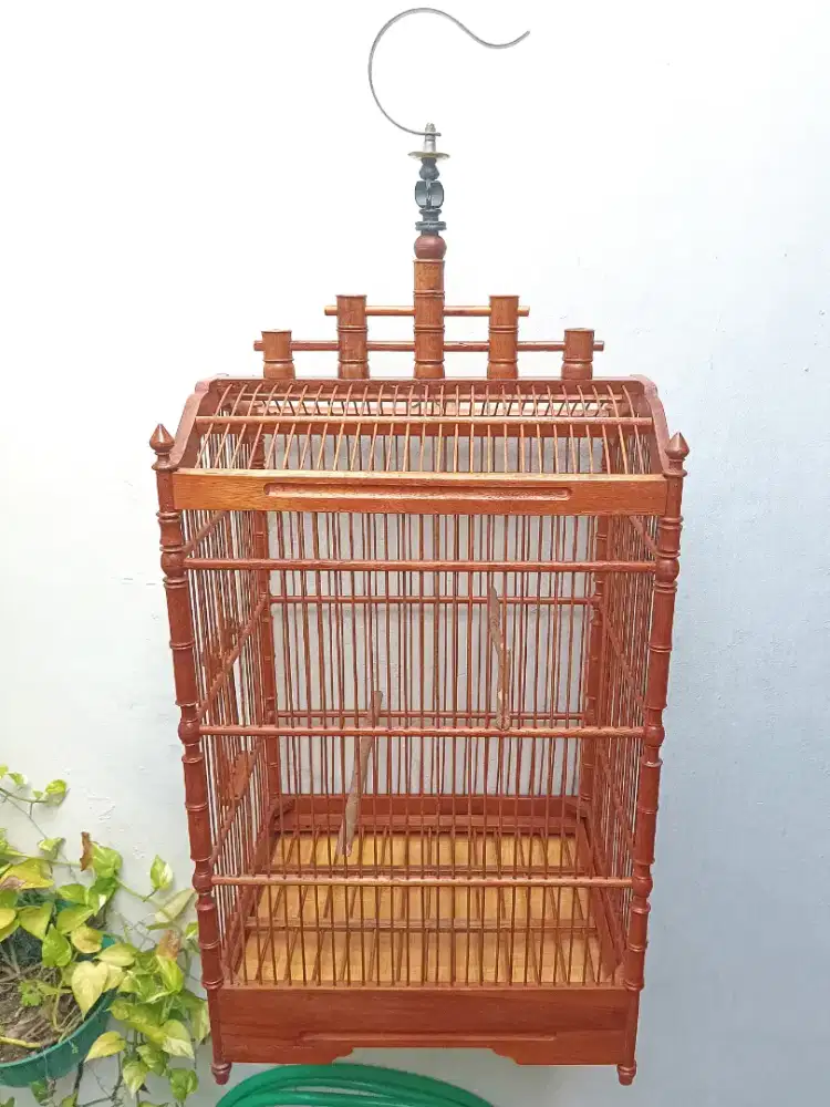 Sangkar Kandang Pion Mahkota