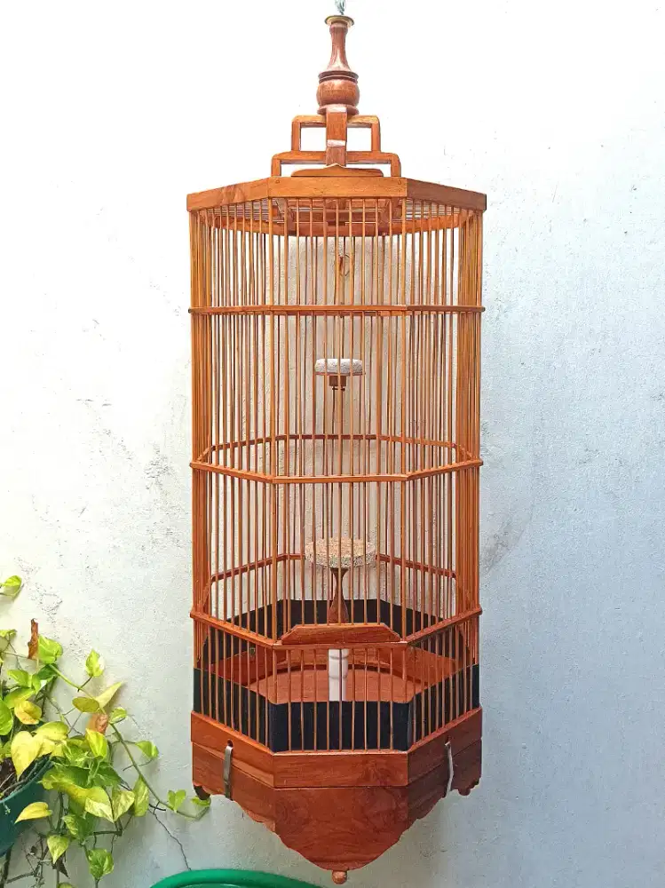 Sangkar Branjangan segi 8