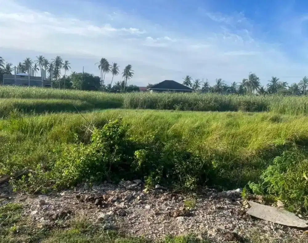 Tanah luas 400.M.padat gp ateuk munjeng dkt mesjid ateuk jawo jlntandi