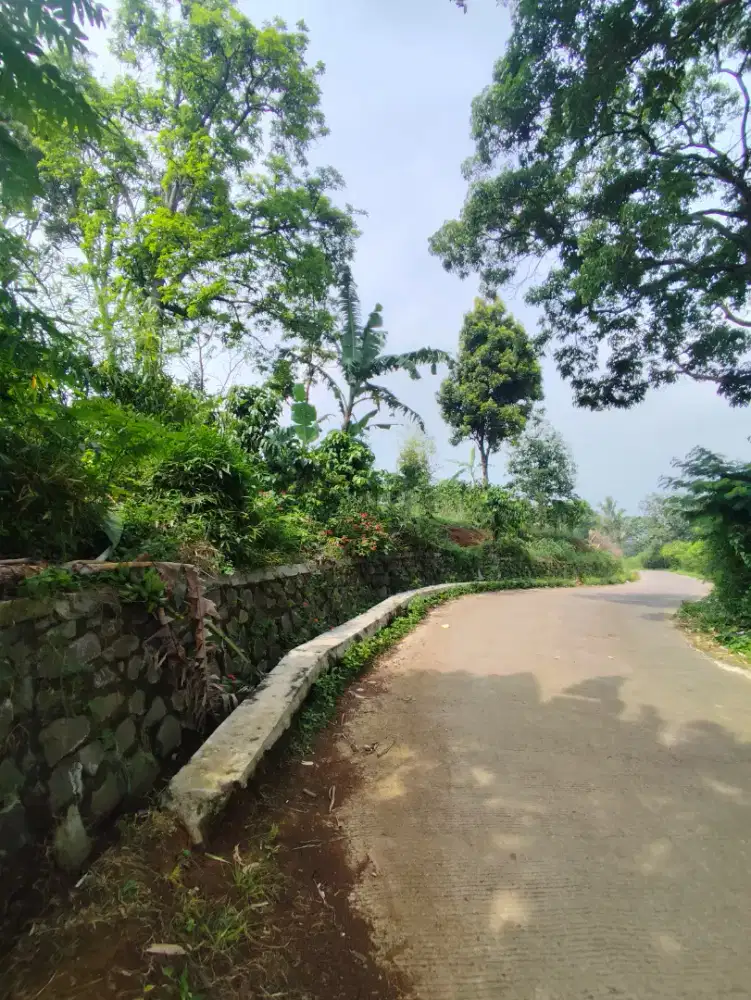 Di jual tanah kebun kopi