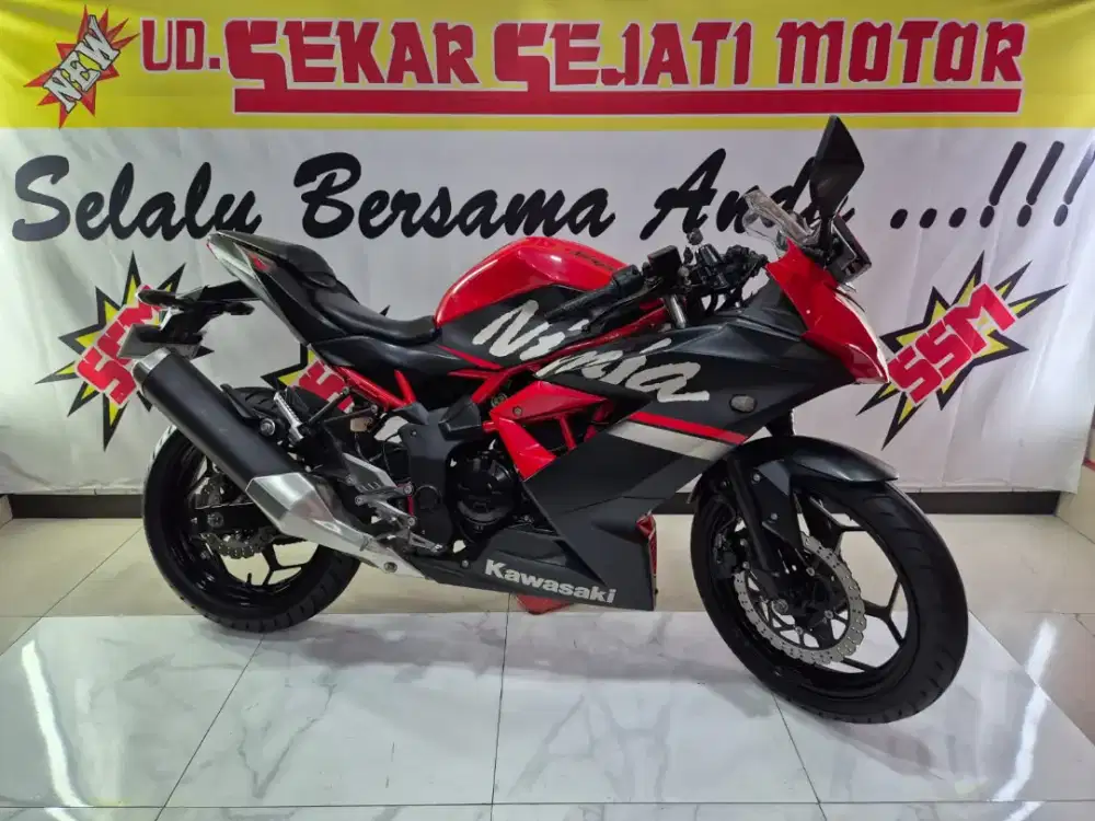 Ninja 250 mono 2019 JOSS