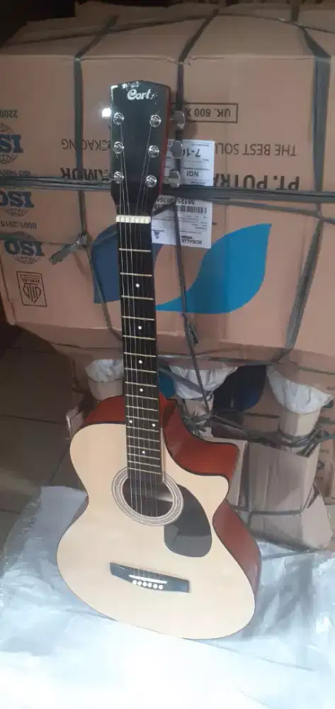GITAR PEMULA CORT