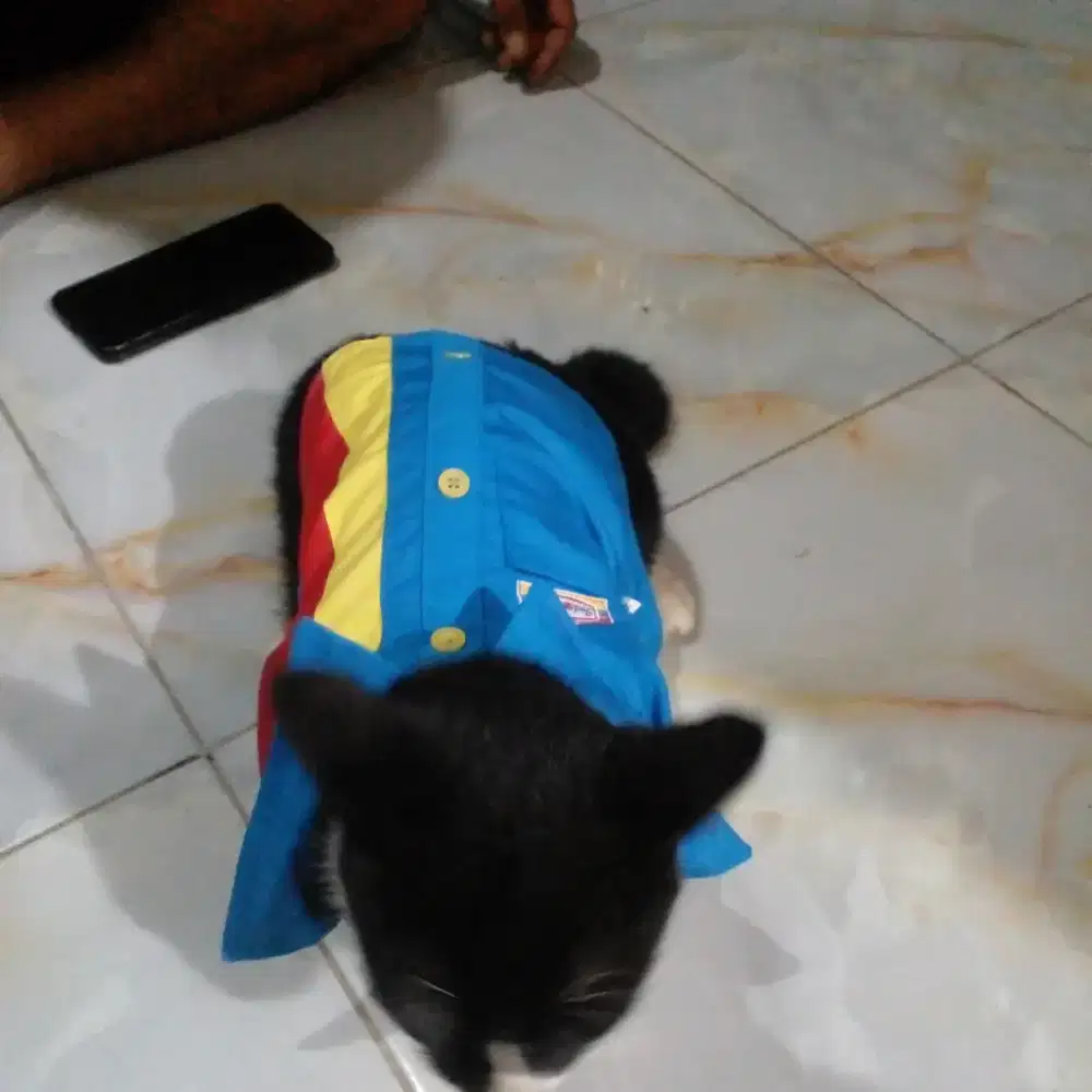 Yamaha.aerox tahun 2023