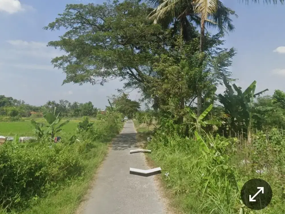 SAWAH PRODUKTIF DEKAT PASAR MANISRENGGO