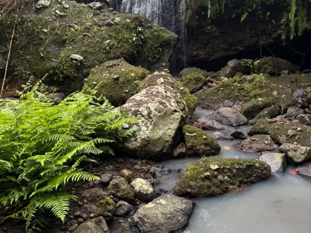 Dijual Tanah Los sungai View Sawah & Air Terjun Luas 12000 m2