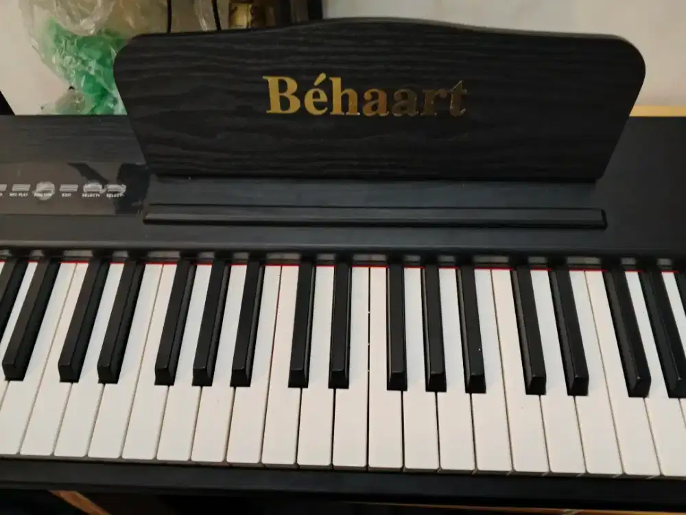 Piano Behaart Cadenza