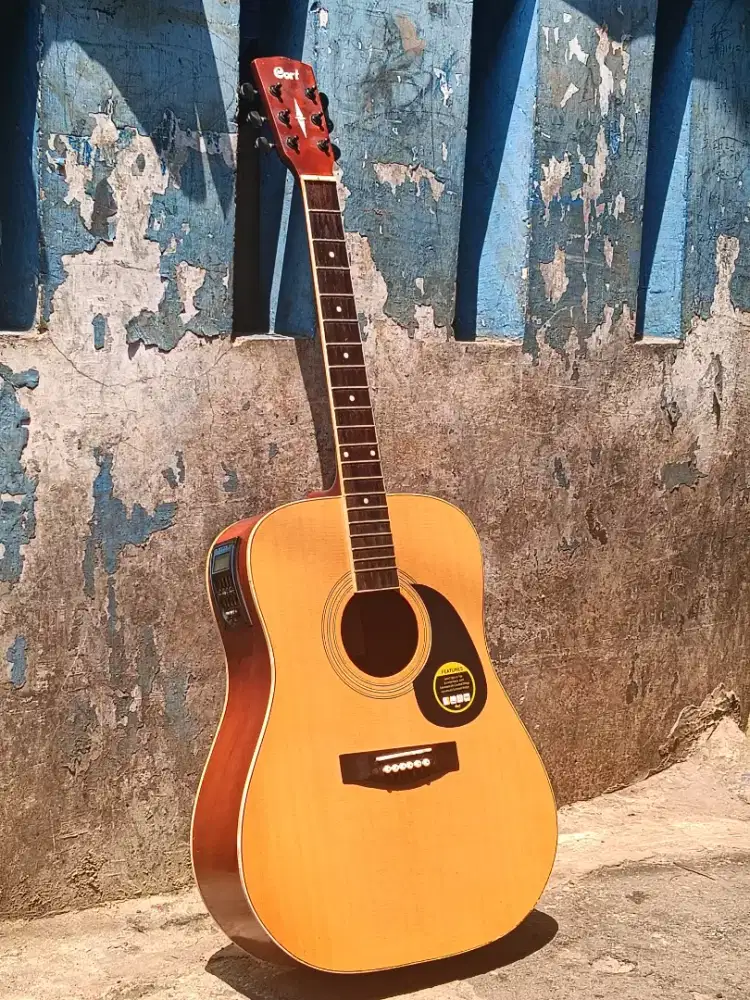 Gitar akustik cort ad 810 op custom