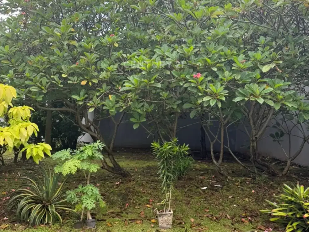 Dijual Kavling Dalam Cluster Di Sektor 9 Bintaro Wt17543