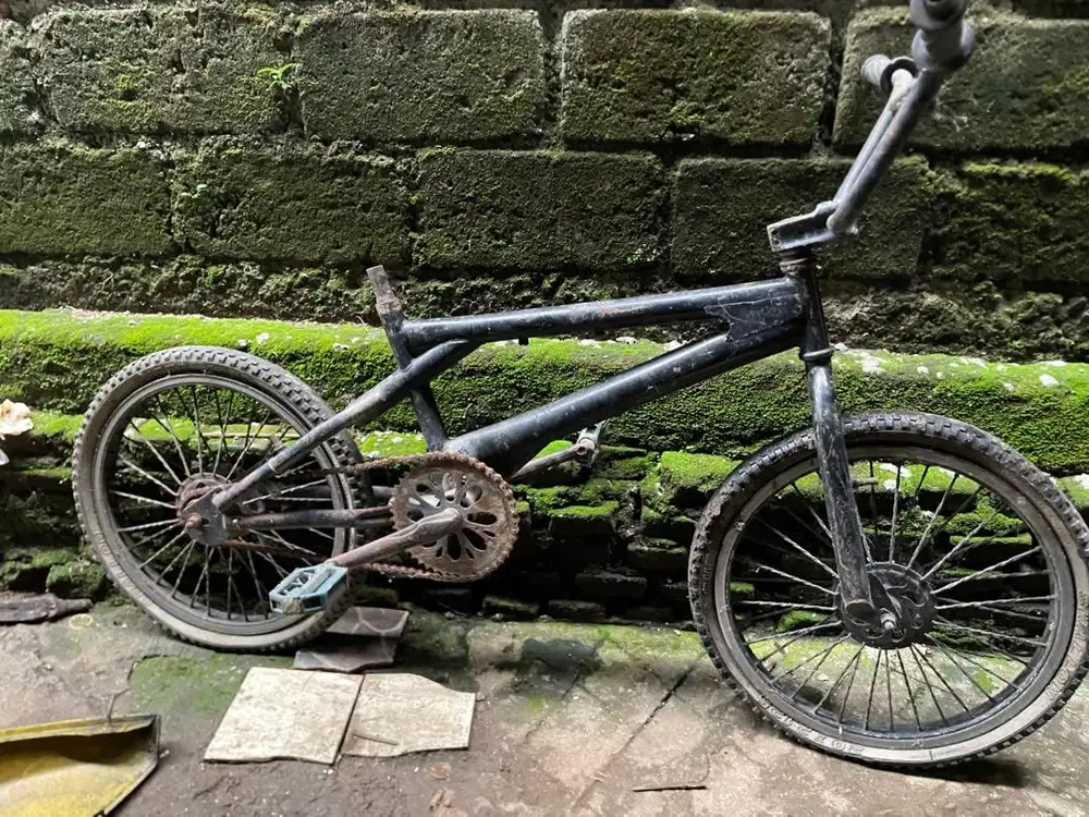 jual sepeda bmx bekas