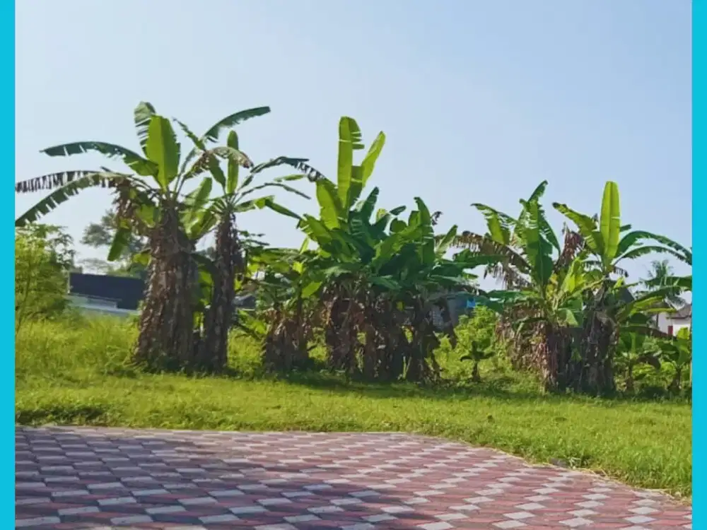 Tanah Maguwoharjo 3 menit dari  UNRIYO kampus 2