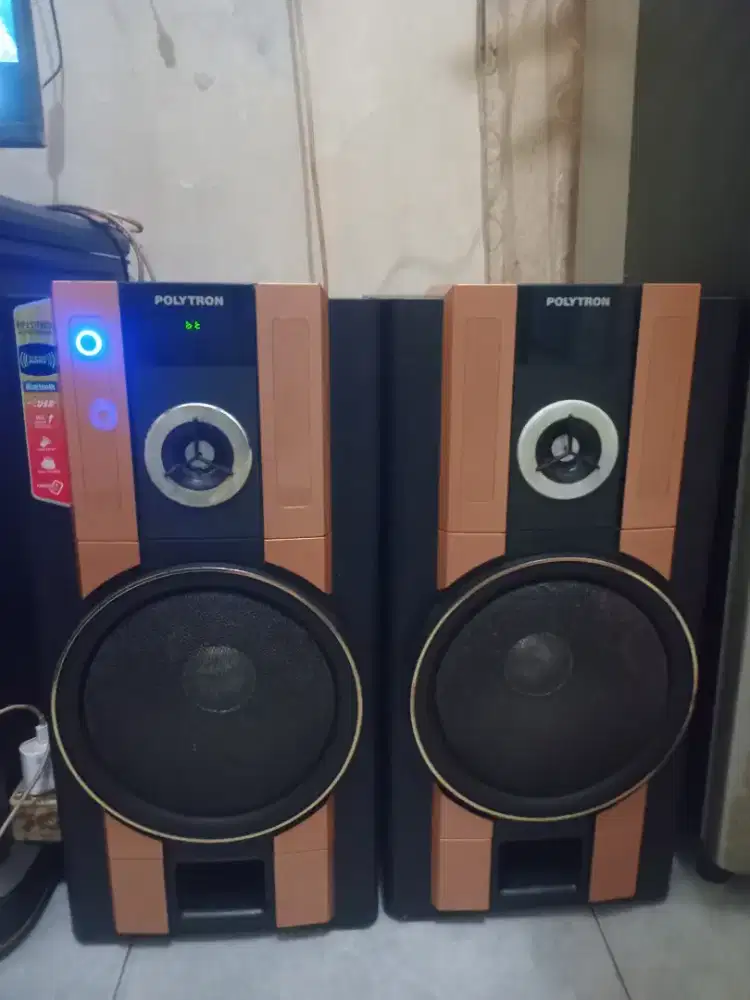 Speaker polytron