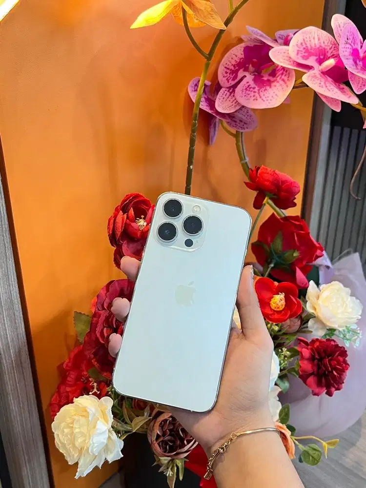 iphone 13 pro 256gb sec beacukai