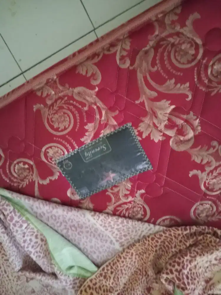 Jual springbed serenity