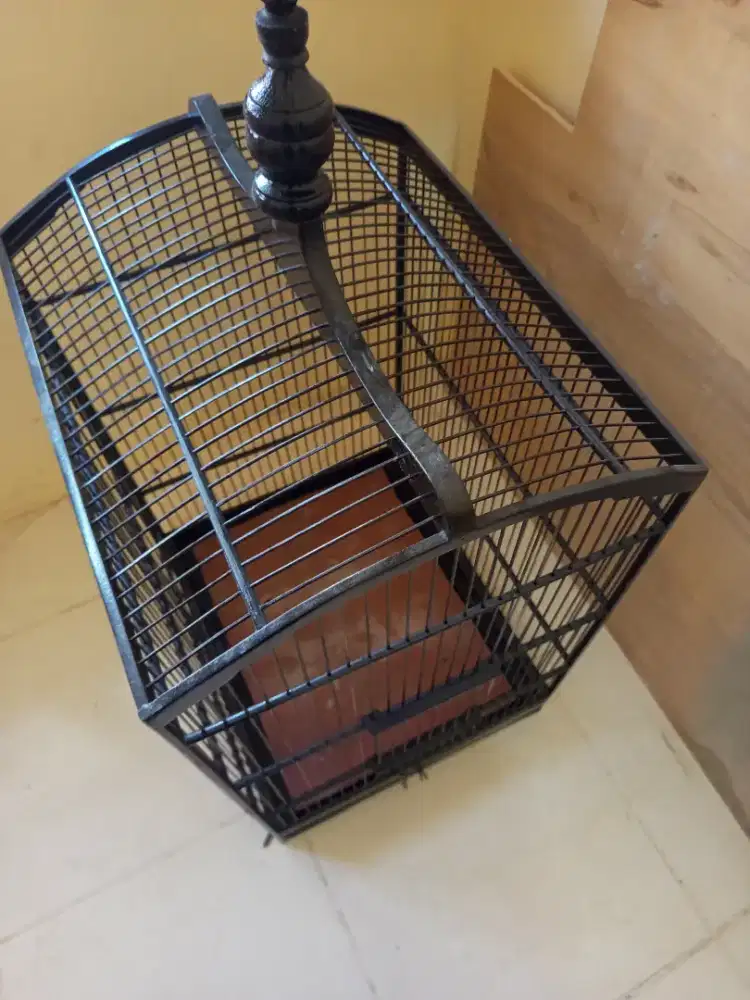 Di jual cepat kandang dan burung