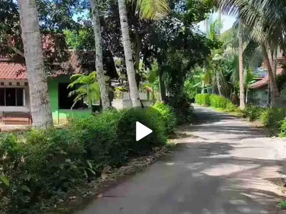 Tanah Murah Bonus Rumah siap Huni dekat Bandara YIA