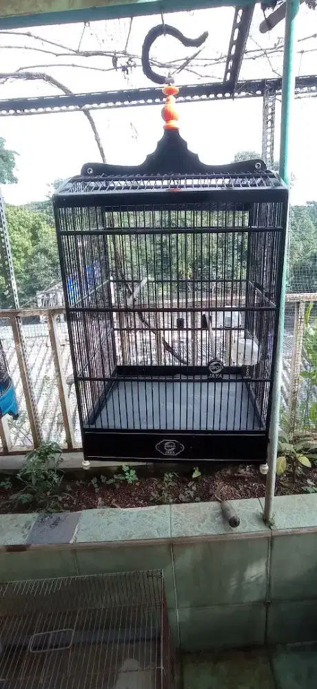 Kandang kotak Ebod No 2