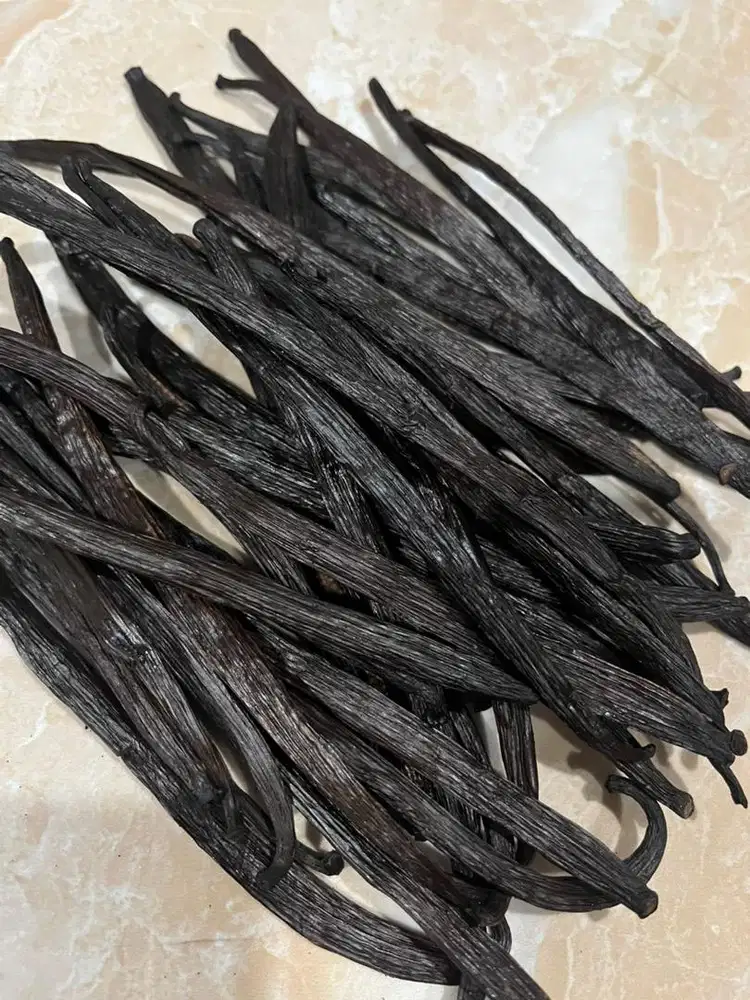 Vanilla beans (biji vanila) 500 gourmet gram grade A