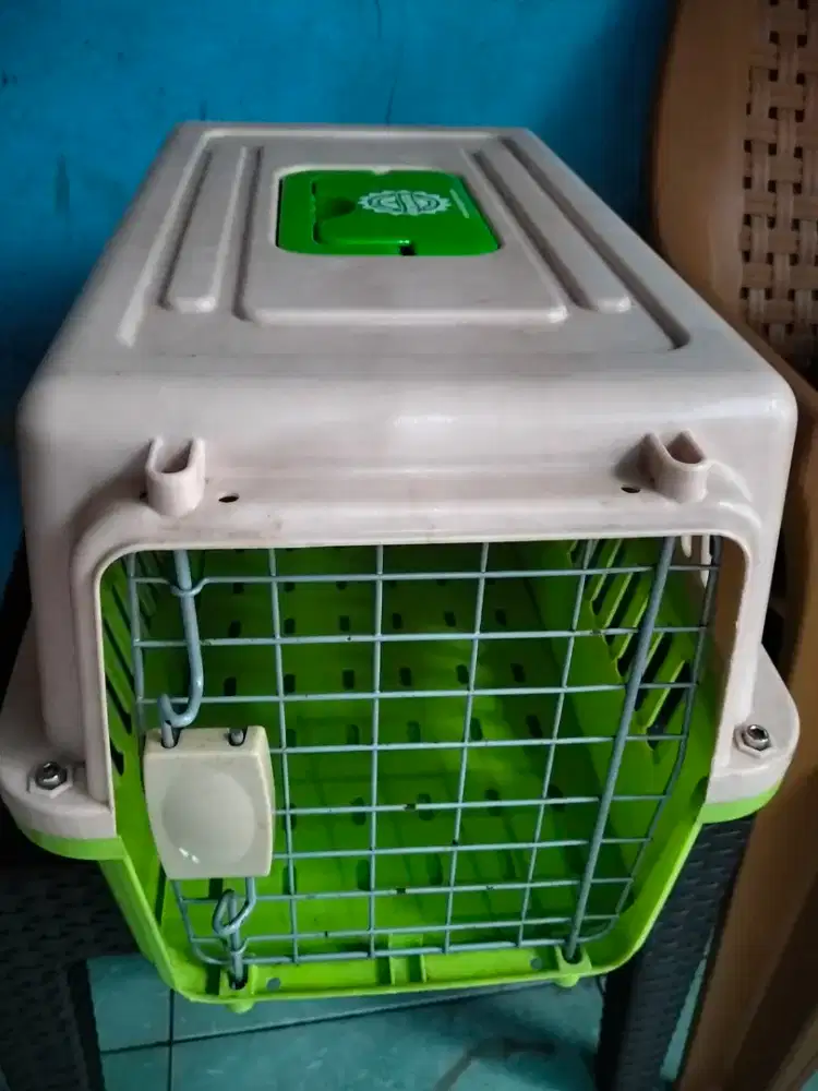 Cargo kucing buat dibawa kemana2