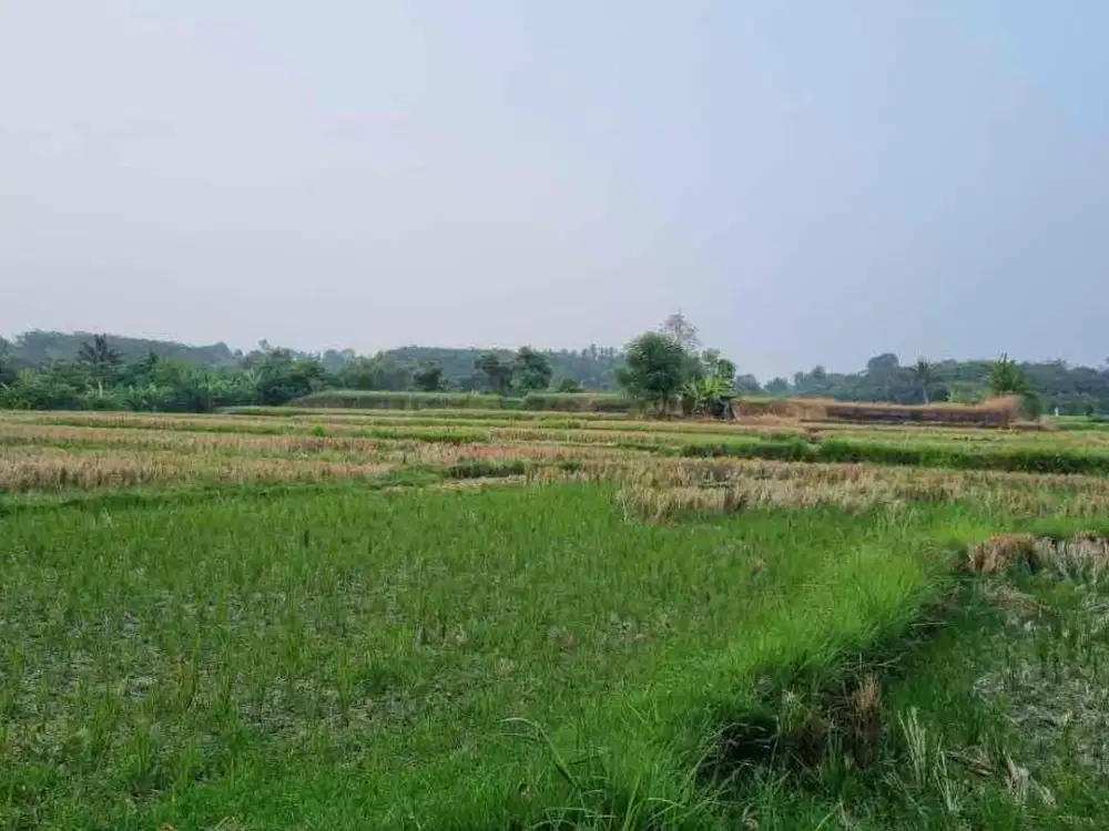 Tanah Murah Di Pinggir By Pass Ida Bagus Mantra Lebih Tulikup Gianyar Dkt Padang Galak Sanur