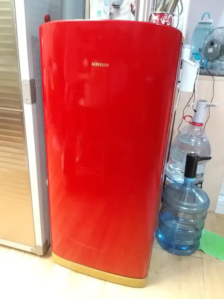 Kulkas Samsung RA19PTOR