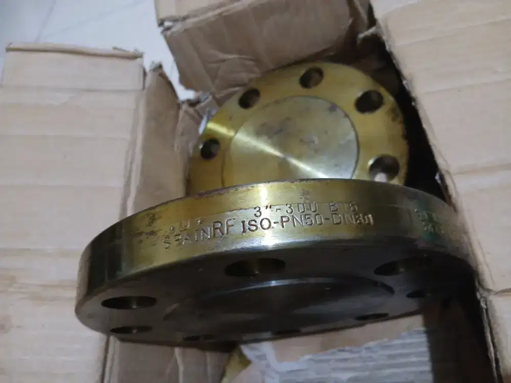 Blind Flange 3 ANSI, #300