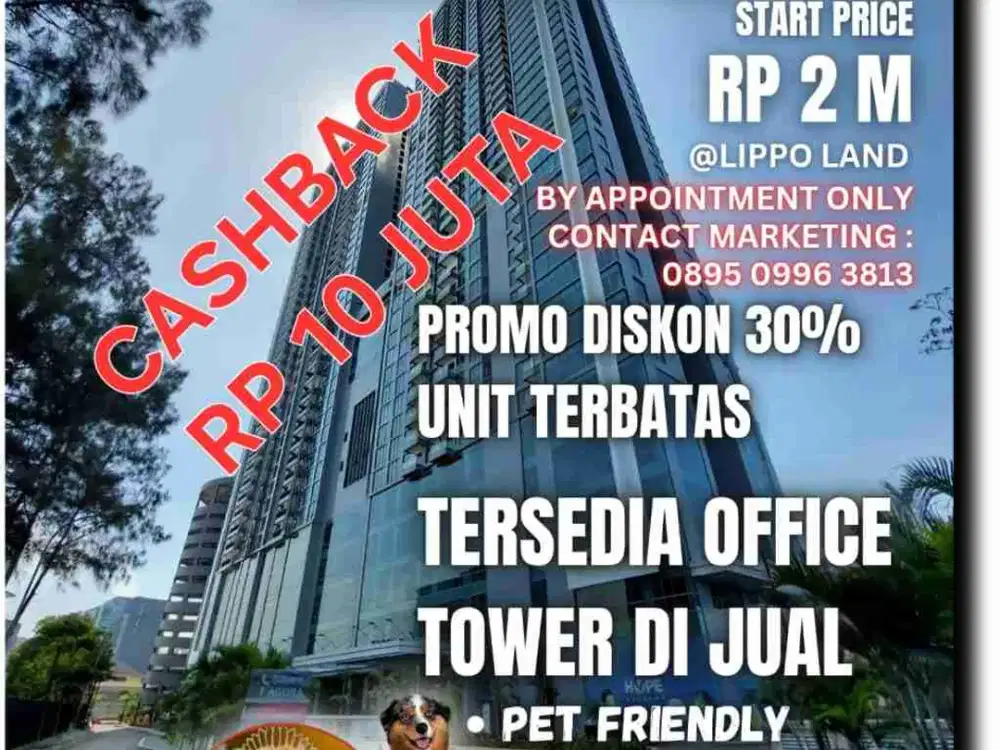 Pet Friendly Apartemen Holland Village Cempaka Putih Bisa Kpr Unit Baru Dekat Toll