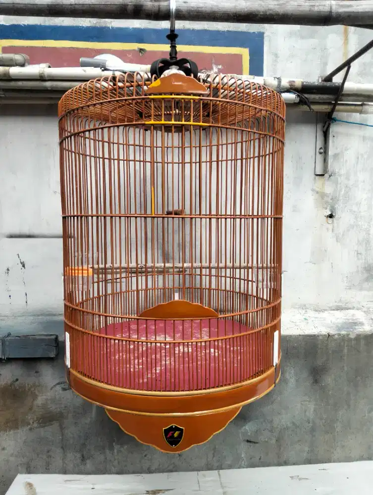 SANGKAR MURAI BATU F1 NO 3 SECOND GRESS