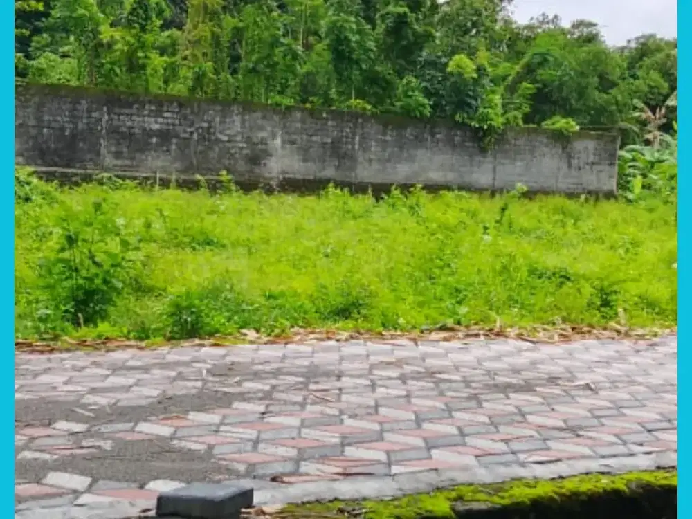 Tanah Jogja Kost Area Kampus UII Kaliurang SHM Pekarangan