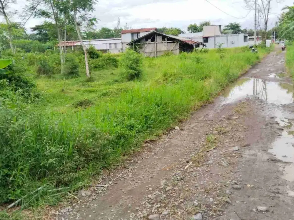 Tanah Sawah Bagus Dekat  Jalan Raya Di Sidokarto Godean Yogyakarta