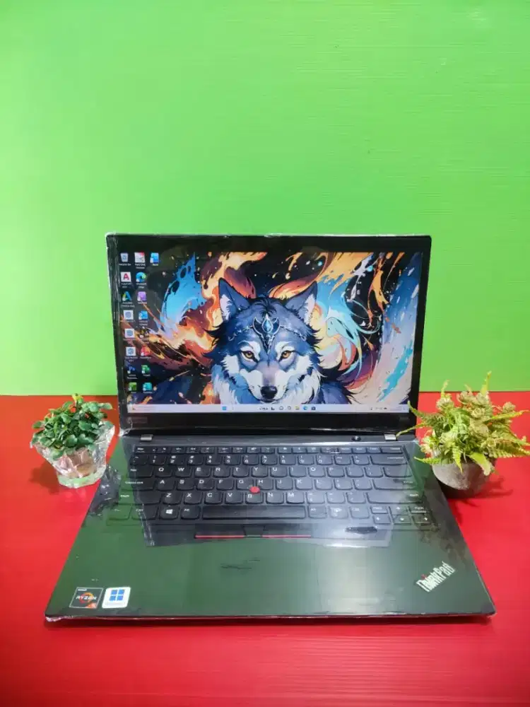 Lenovo Thinkpad T495-Pro V34