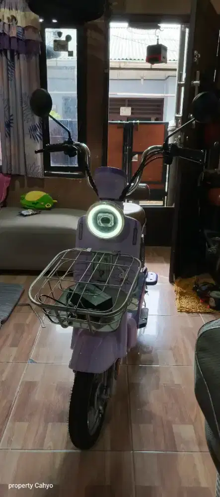 Sepeda listrik brodway exo classic purple