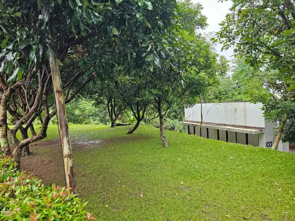 Jual Tanah Murah SHM termasuk 40 pohon durian di cijeruk bogor