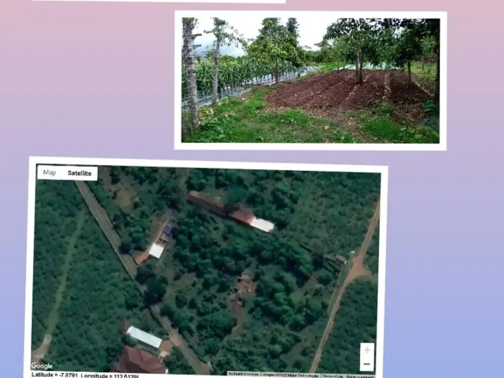 Dijual tanah di area Agrowisata Batu Malang seluas 1 ha, view bagus