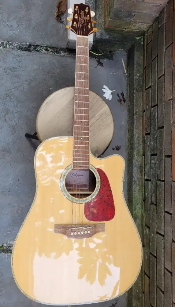 TAKAMINE GD71CE NAT + GIGBAG DR.CASE