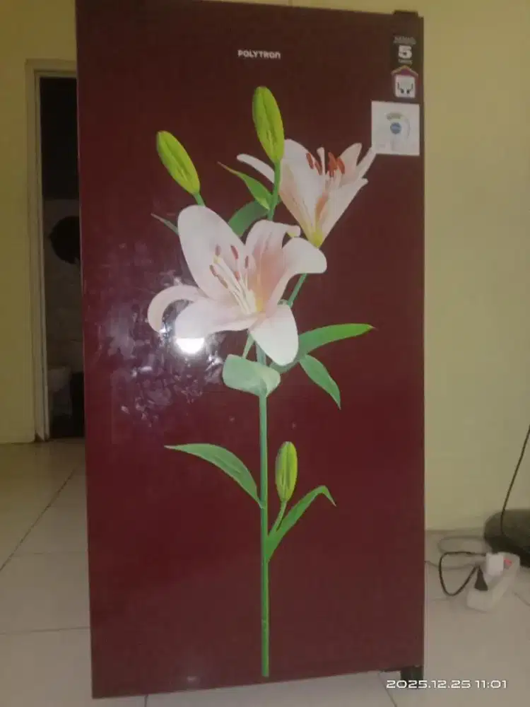 Kulkas Polytron 1 pintu NEGO