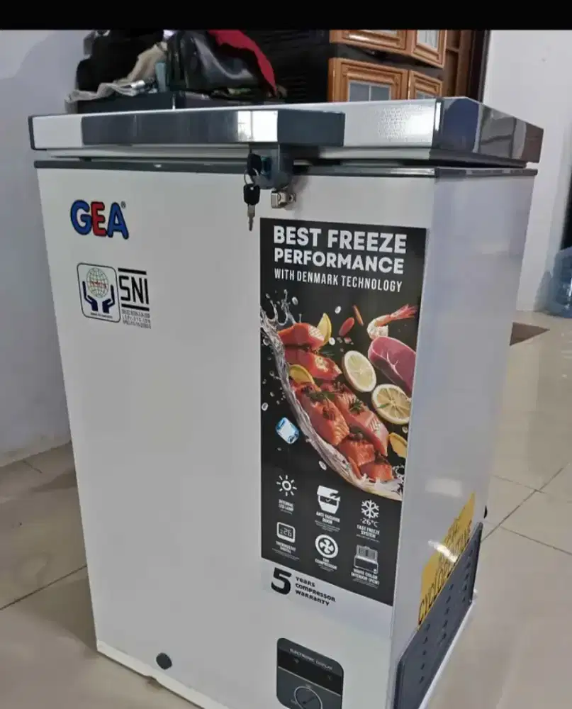 FREEZER BOX GEA 100 L