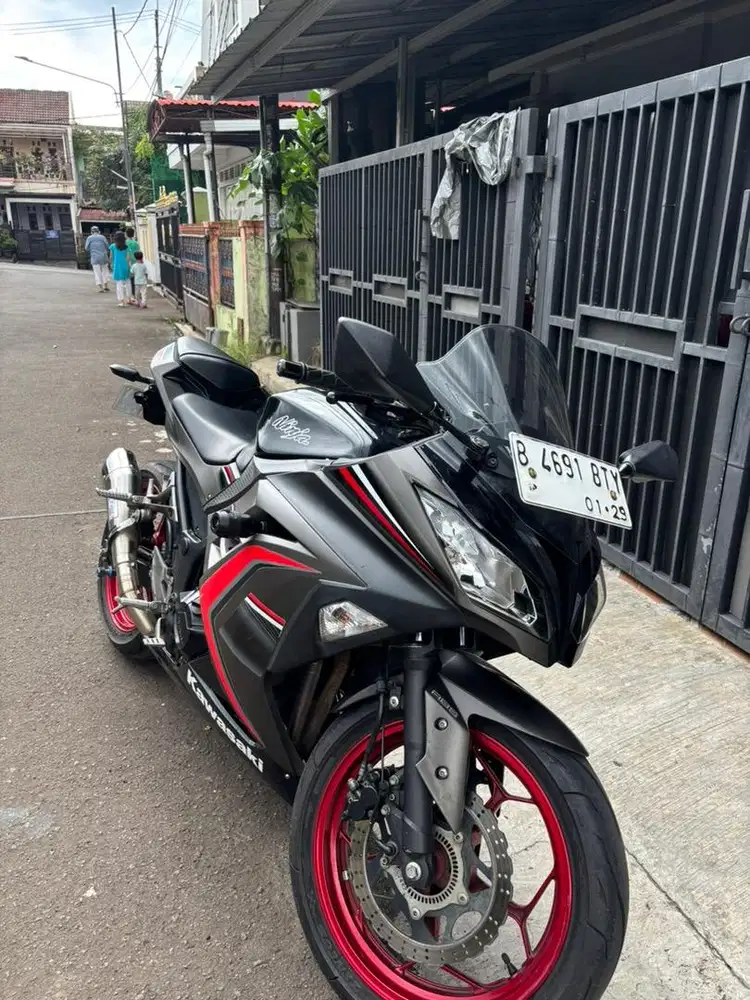 Ninja 250 Special Edition ABS Grey 2016