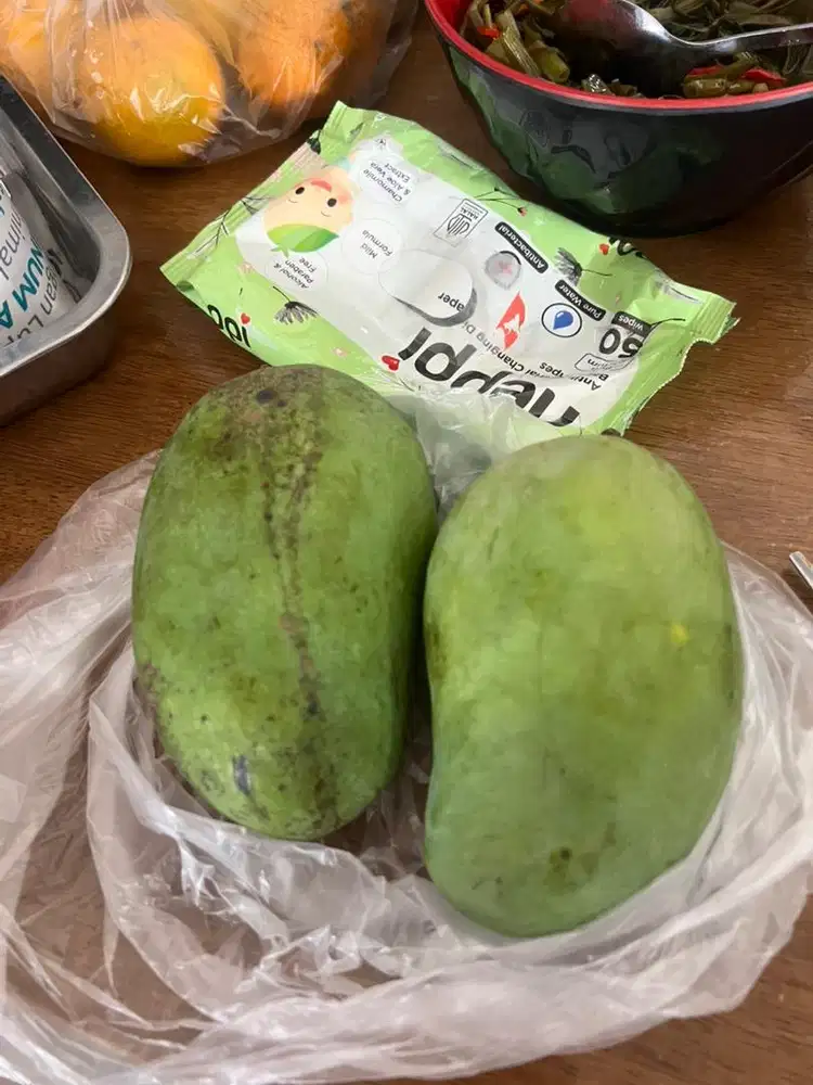 Cari art / prt wanita menginap