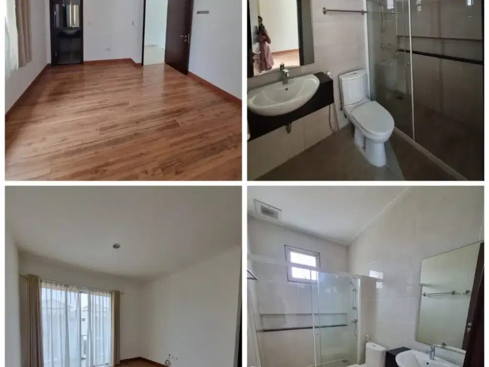 PIK Golf Island Cluster Orchestra