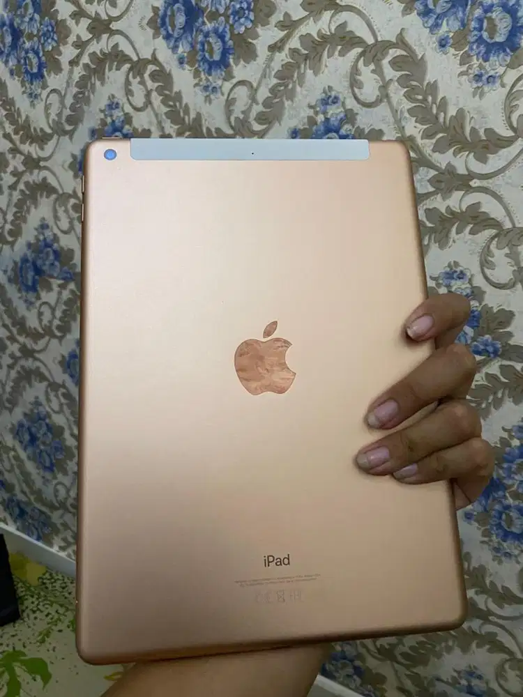 Ipad Gen 6 128 gb