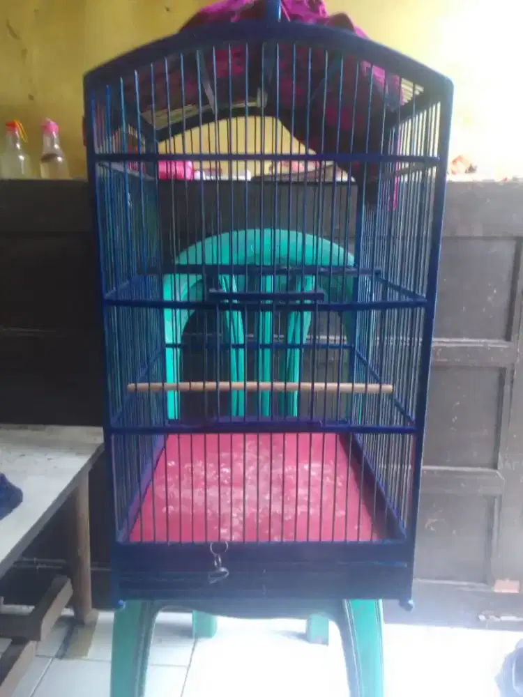 kandang kotak nomor 2