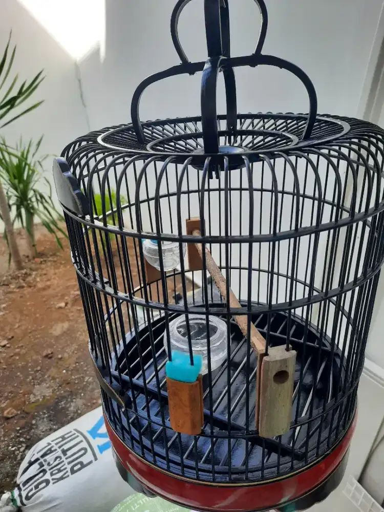 Sangkar burung kecil