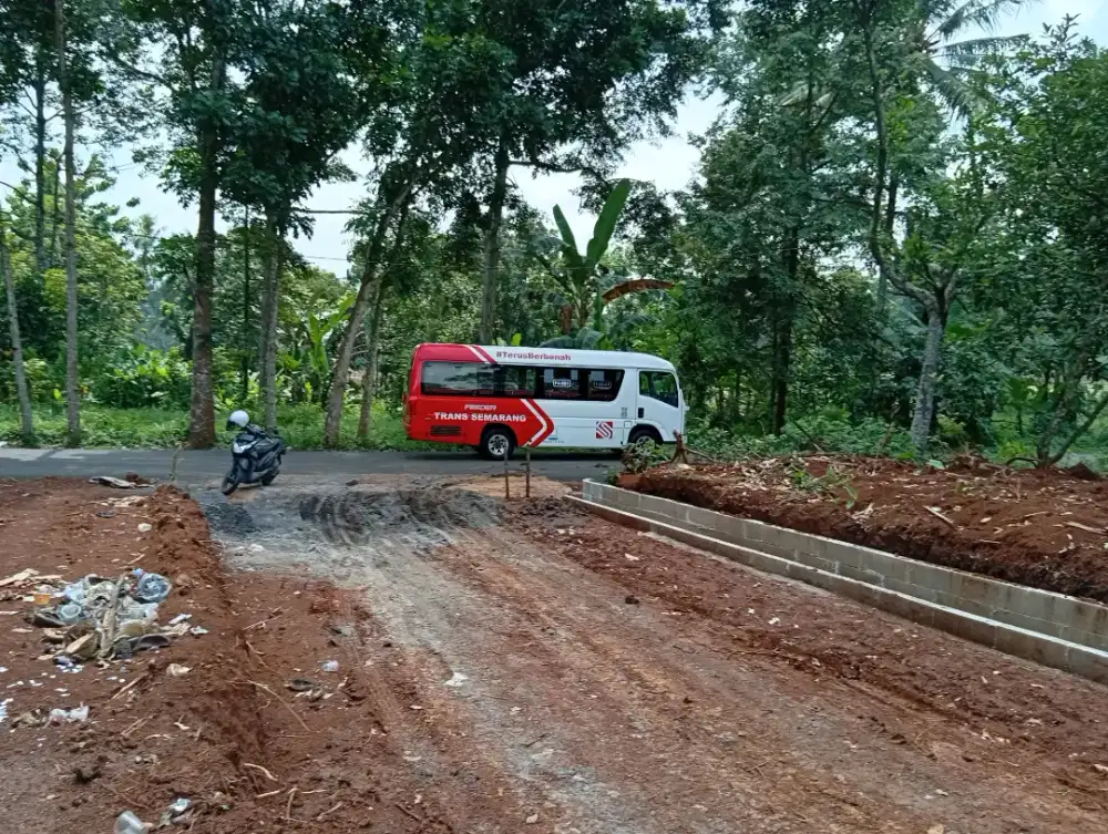 Tanah pinggir jalan sangat bagus buat usaha dekat kampus di semarang