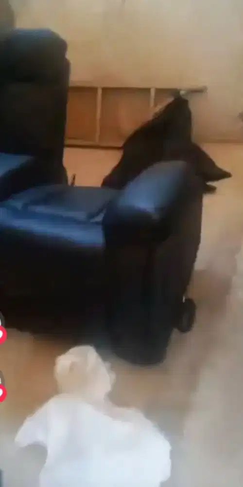 Jasa service jok sofa