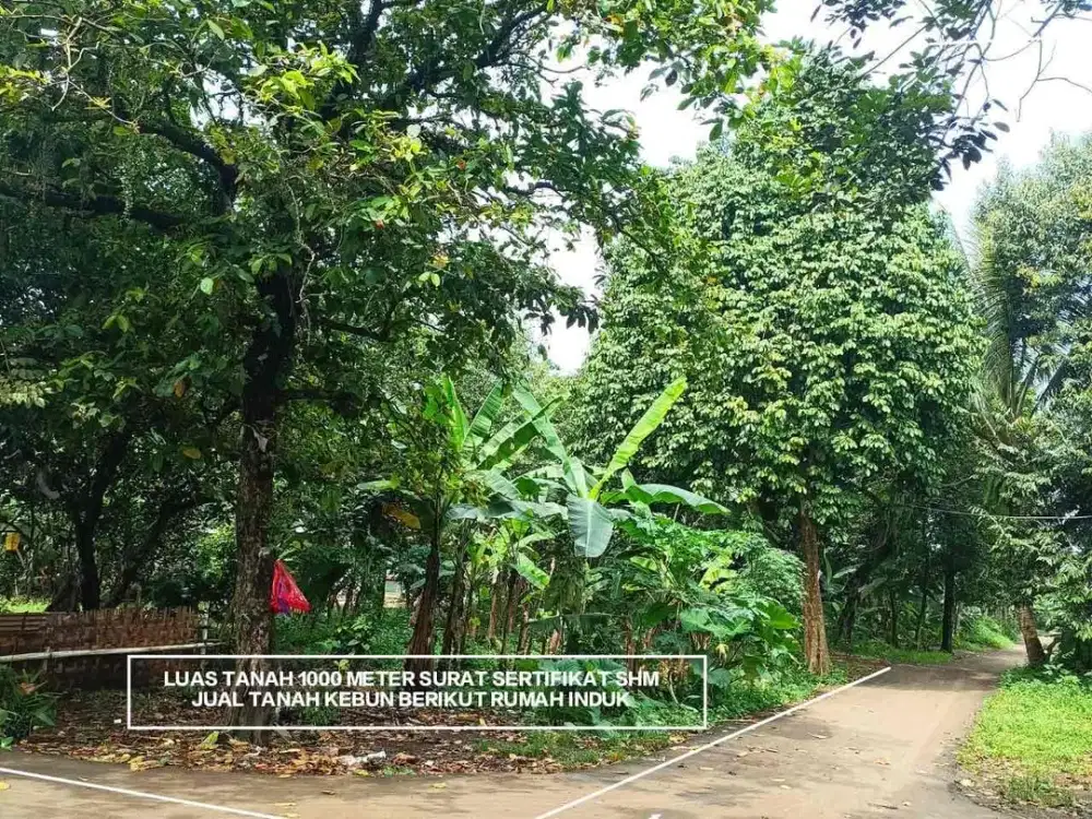 TANAH KEBUN MURAH TANAH RATA BONUS RUMAH TINGGAL DI PERIGI SAWANGAN KOTA DEPOK